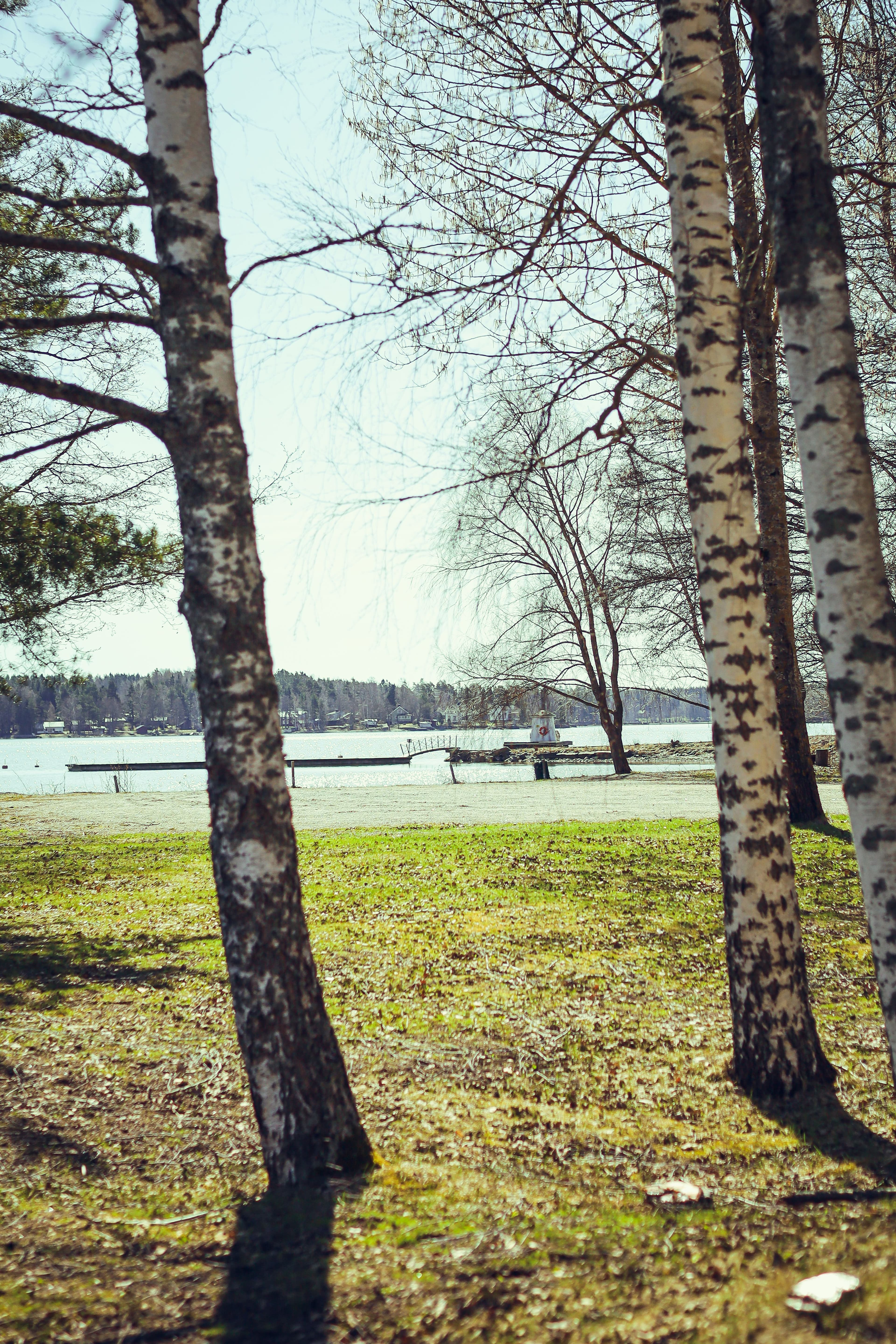 Haikon Kartano view spring pier